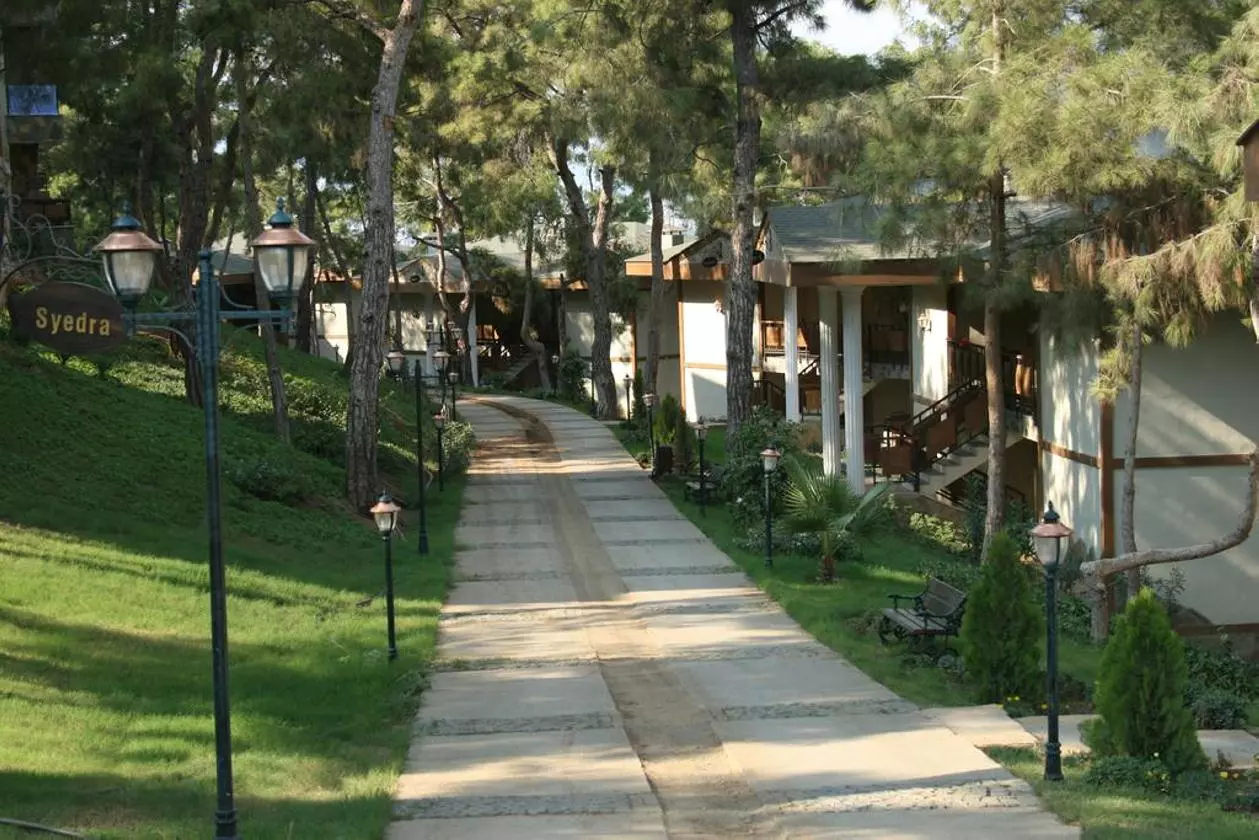 UTOPIA_SHABAVIZ (24).jpg